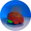 Neuro-infectieux Neuro-infectieux