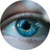 Neuro-ophtalmologie Neuro-ophtalmologie