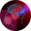 Neurovasculaire Neurovasculaire
